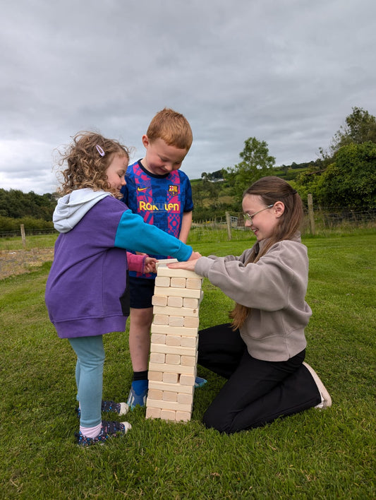 Oghill Farm Tower Blocks