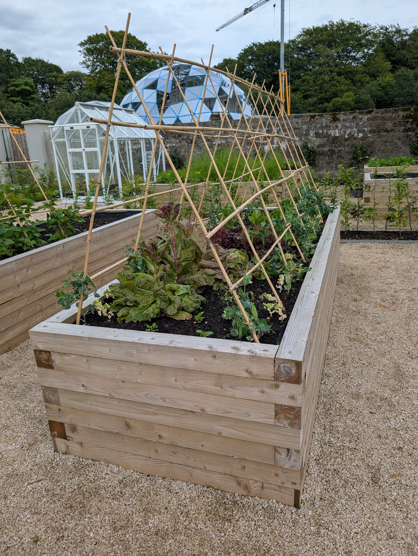 Raised Flower beds