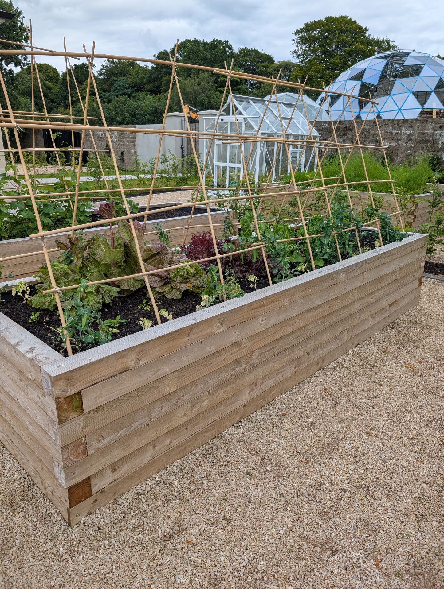 Raised Flower beds