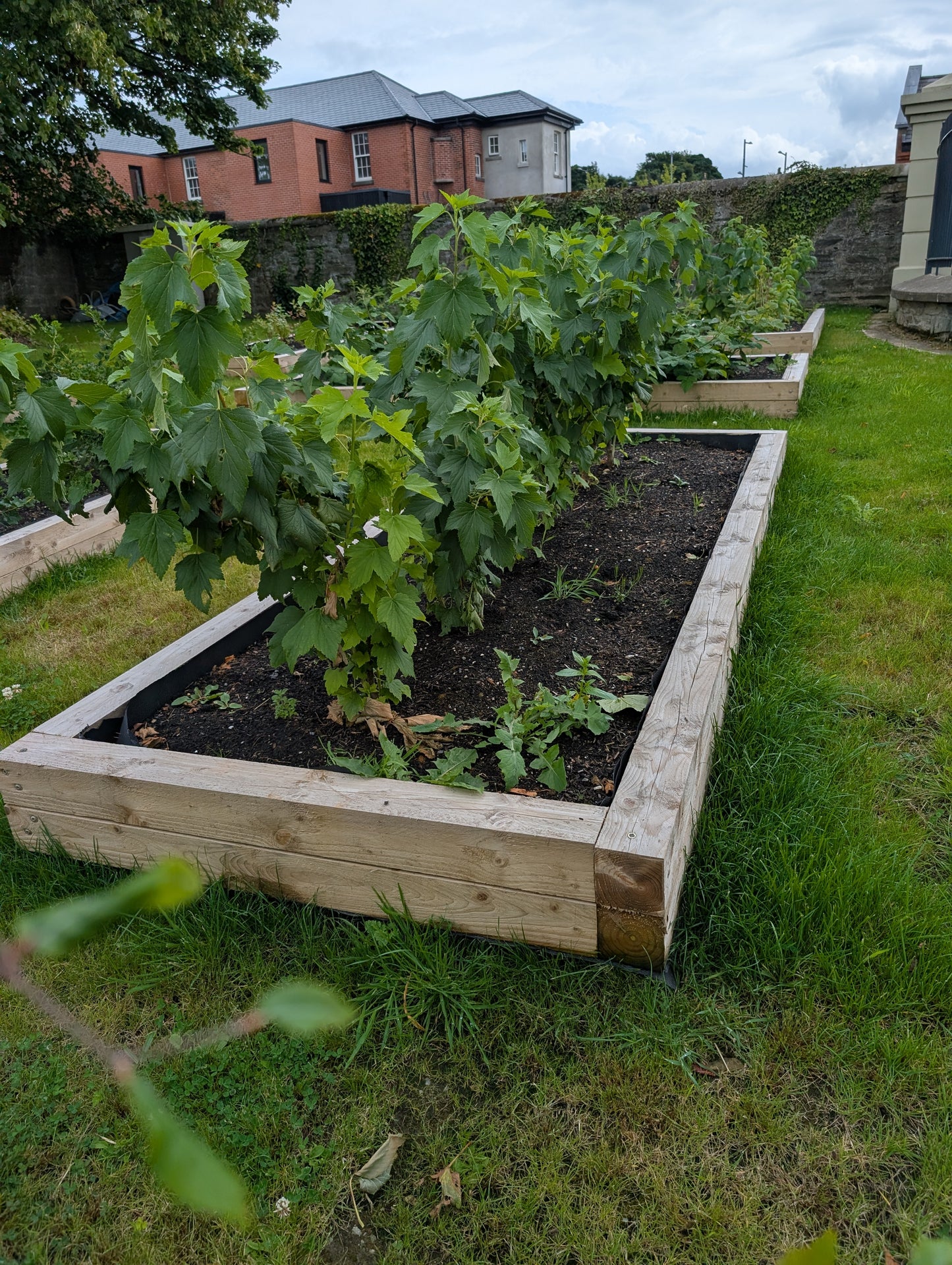 Raised Flower beds