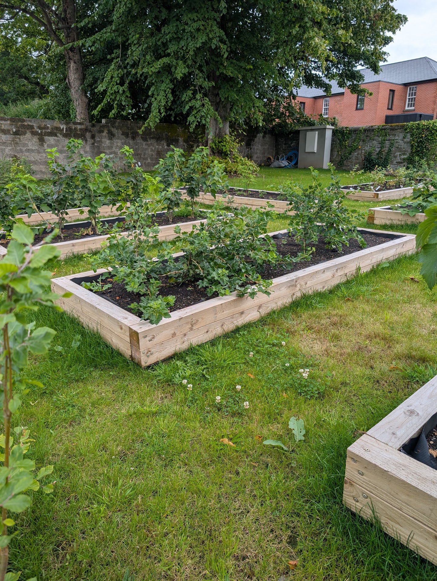 Raised Flower beds
